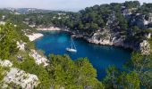 Excursión Senderismo Cassis - Calanques de CASSIS  port miou en vau port pin la cacau - Photo 3