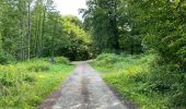 Tour Wandern Oigny-en-Valois - en forêt de Retz_86_les Laies de la Poudrerie et de la Fosse aux Demoiselles - Photo 11