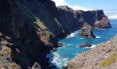 Trail Walking Caniçal - Madère : la presqu'île de Sao Lourenço - Photo 7