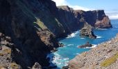 Excursión Senderismo Caniçal - Madère : la presqu'île de Sao Lourenço - Photo 7