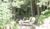 Trail On foot Mangone - (SI U23) Piano Lago - Casellone Forestale di Monte Cocuzzo - Photo 5