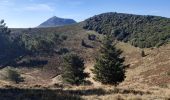 Excursión Senderismo Orcines - Pariou Puy de Dôme  - Photo 9