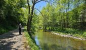 Tour Wandern Kiischpelt - Kautenbach - Sentier local KI 2 - Photo 4