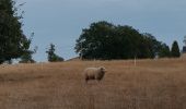 Randonnée Marche Maasmechelen - Mechelse Heide  - Photo 2