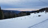 Tour Schneeschuhwandern Gerdsee - herardmer 1 - Photo 3