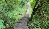 Trail Walking Heuvelland - Loker 18,2 km - Photo 3