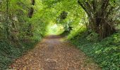 Tour Wandern La Bruyère - Rhisnes 121023 - Photo 2