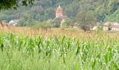 Randonnée Marche Saint-Bresson - Saint-Bresson  - Photo 4