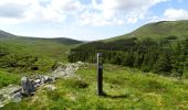 Percorso A piedi Westport-Belmullet Municipal District - Lough Aroher Loop - Photo 2