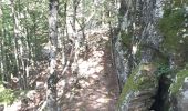 Tocht Stappen Banyuls-sur-Mer - puig de sallfort depuis coll de vallauria - Photo 3