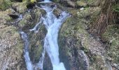 Percorso Marcia Abondance - Lacs des plagnes - Photo 1