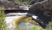 Randonnée Marche Lussas - Le canyon de la Louyre - Photo 9