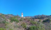 Percorso Marcia Port-Vendres - paullile - Cap bear via la mer retour via les vignes  - Photo 11