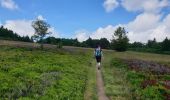 Trail Walking Belmont - Tour du Champ du Feu - Photo 17