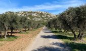 Trail Mountain bike Maussane-les-Alpilles - Maussane-les-Alpilles  Salon de Provence GR69 - Photo 11