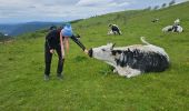 Trail Walking Xonrupt-Longemer - 2024 RA Vosges J4 autour du Kastelberg - Photo 13