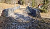 Percorso Marcia Châtelblanc - Le pré-poncet par le petit pont et la forêt  - Photo 7