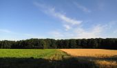 Randonnée Marche Oigny-en-Valois - en forêt de Retz_81_vers les étangs de Bourcq et sur le GR11 - Photo 13