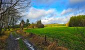 Tour Wandern Vielsalm - Balade à Salmchateau - Photo 17