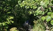 Trail Walking Lans-en-Vercors - les allieres, COL de l arc, et pic ST Michel - Photo 5