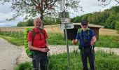 Tour Wandern Riedisheim - Mulhouse / Ferrette..02/05/2024..les Marcheurs - Photo 5