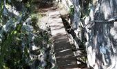 Trail On foot Le Valtin - Sentier des roches - Photo 2