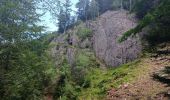 Randonnée Marche Bussang - Circuit col de bussang / tête de la Bouloie - Photo 8