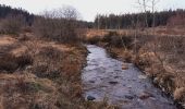 Tour Wandern Weismes - Sourbrodt - Photo 2