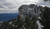 Trail Walking Plateau-des-Petites-Roches - l aulp du seuil  - Photo 1