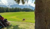 Tour Wandern Crêts-en-Belledonne - Refuge du Crêt du Poulet- Grand Rocher - Photo 19