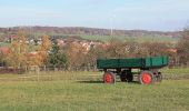 Tour Zu Fuß Sangerhausen - DE-Grüner Balken - Photo 3