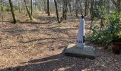 Tour Wandern Kalmthout - Kalmthout bis 20 km - Photo 6