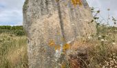 Tour Wandern Trébeurden - Tour de l’île grande - Photo 1