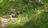 Trail Walking Sainte-Agnès - Mont Ours - Photo 14