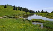 Tour Wandern Crêts-en-Belledonne - LE GRAND ROCHER PAR LE REFUGE DU CRET DU POULET - Photo 19