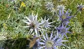 Trail Walking Aragnouet - J7-Oule-Bastan - Photo 7