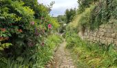 Trail Walking Montsoreau - Montsoreau - Candes-Saint-Martin Fontevraud-l'Abbaye - 24.4km 435m 5h40 (45mn) - 2024 07 14 - Photo 3