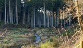 Randonnée Marche Wellin - Randonnée Wellin, forêt St.Hubert  - Photo 7