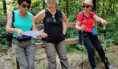 Randonnée Marche Le Tronchet - Forêt du Mesnil - Photo 2