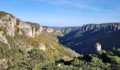 Randonnée Marche Le Rozier - les corniches du Méjean (la Jonte) - Photo 7