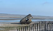 Tocht Mountainbike Cayeux-sur-Mer - Cayeux-sur-Mer Cyclisme - Photo 1