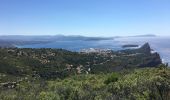 Excursión Senderismo La Ciotat - Sémaphore du Bec de Lièvre - Photo 1