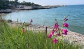 Tour Wandern Vieste - Vieste chemin côtier  - Photo 5