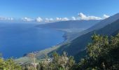 Tour Wandern Frontera - Sabinosa - El Sabinar - Ermita Virgen de Los Reyes (El Hierro) - Photo 7