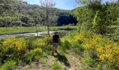 Tour Wandern Bouillon - Bouillon -  Dohan par GR AE - Photo 8