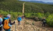 Trail Walking Le Castellet - Autour de la roche Redonne - Photo 4