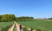 Tour Zu Fuß Bertem - Bertem variante - Photo 17