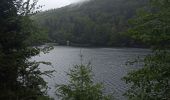 Tour Wandern Sulz/Oberelsass - 01-08-23 Tour Vosges J1: Grand Ballon - Markstein - Photo 3