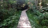 Randonnée Marche Malmedy - cascade du bayehon et un peu plus - Photo 1