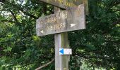 Tour Wandern Ottignies-Louvain-la-Neuve - Rofessart  - Photo 2